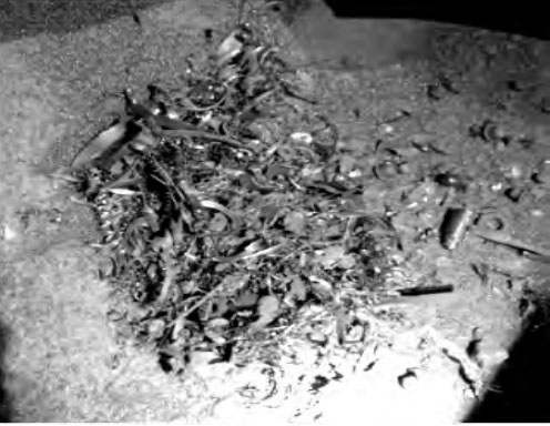 分離器清理出來(lái)的異物 分離器清理出來(lái)的異物